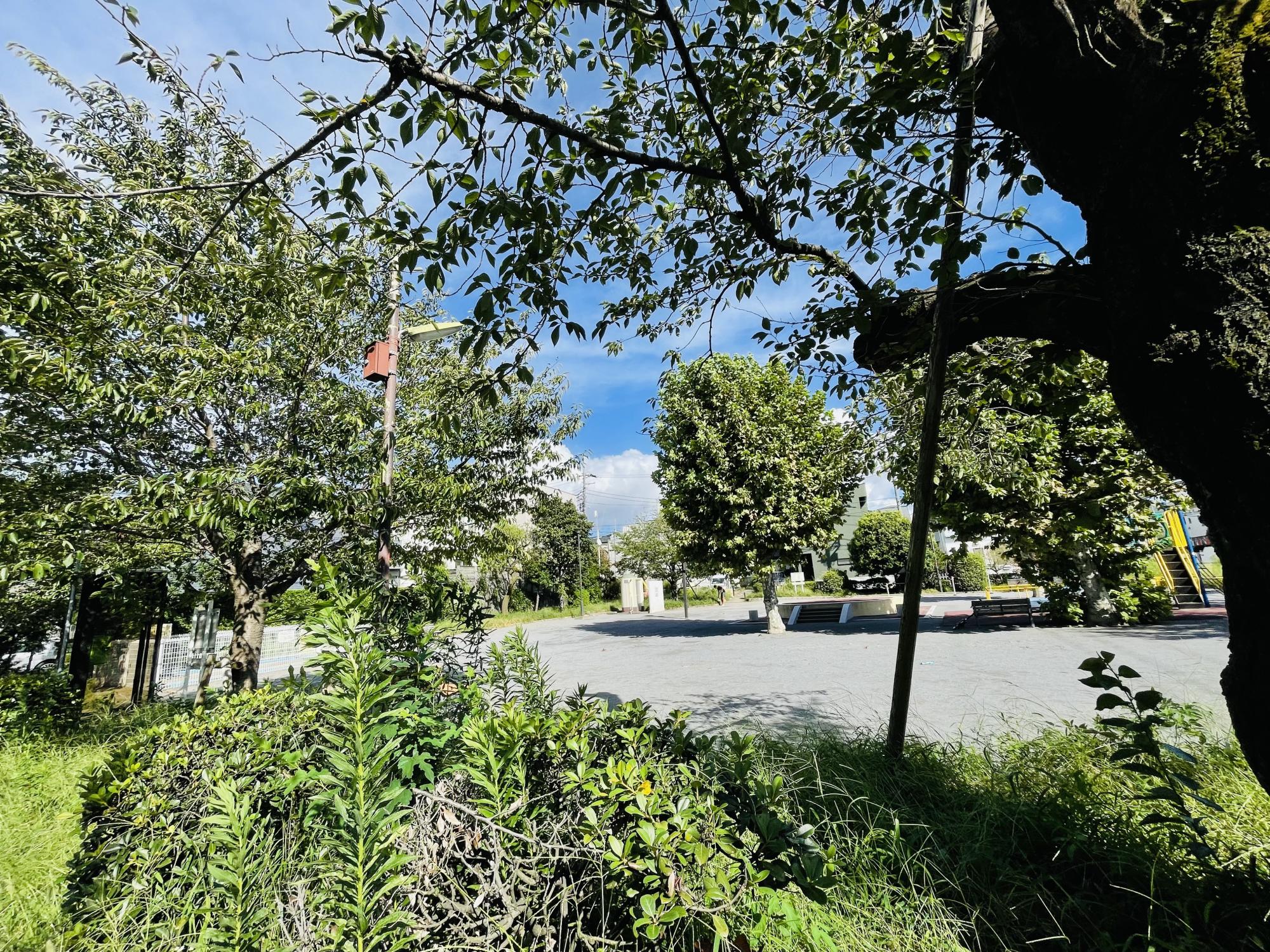 世田谷区立下馬公園