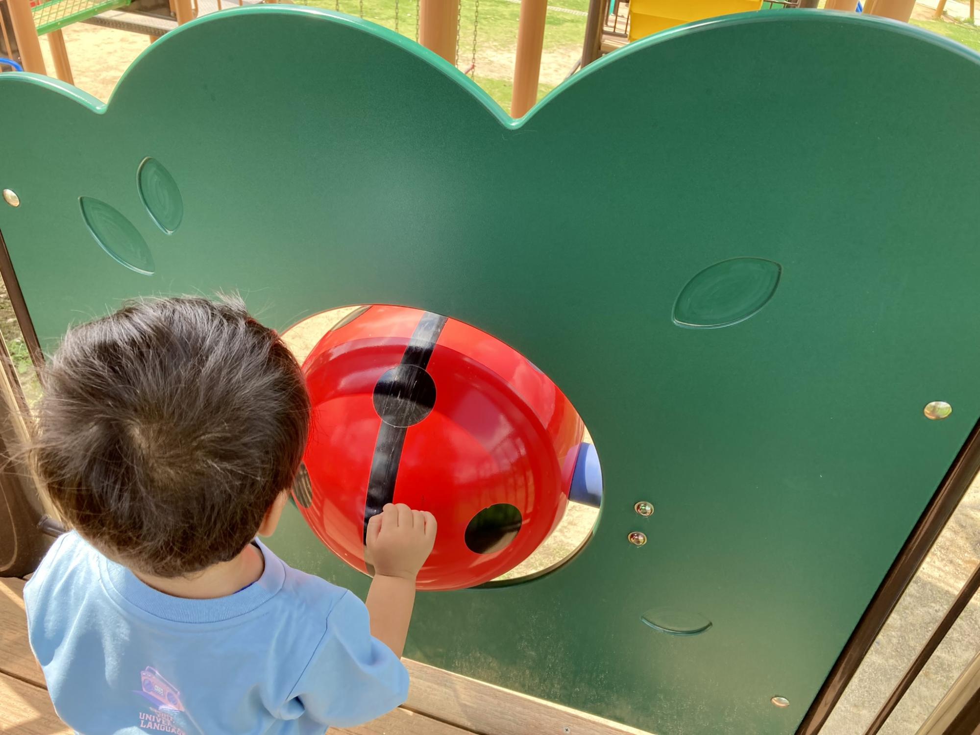 笠間市総合公園(ピクニック広場)