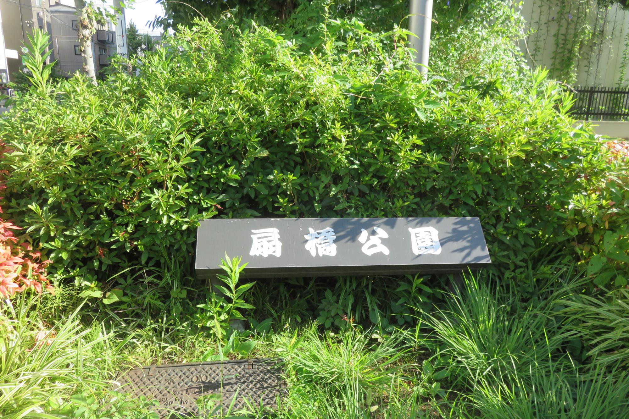 扇橋公園