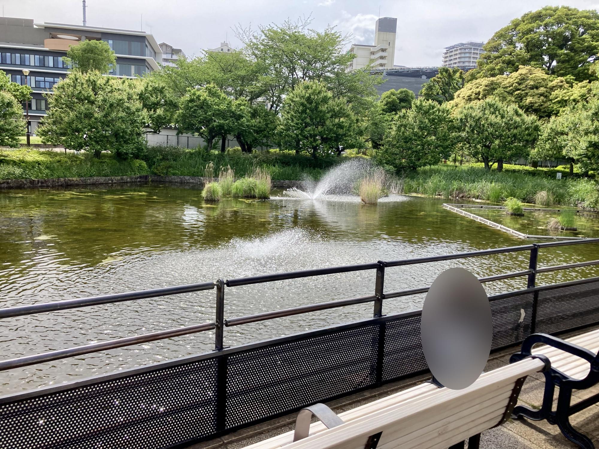 武蔵国分寺公園