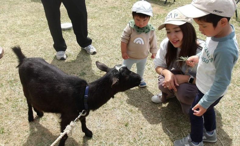 足羽山公園遊園地