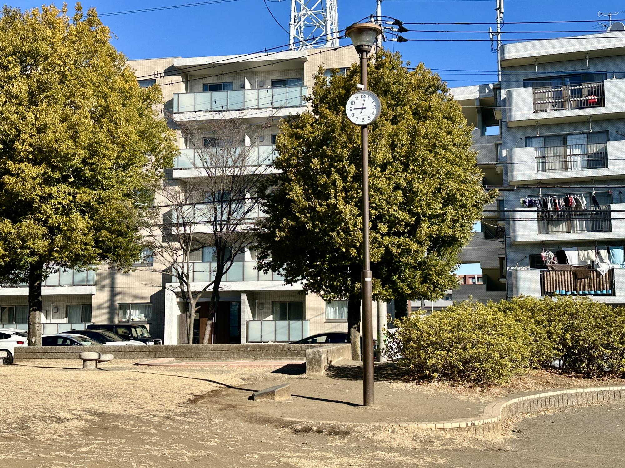 桜並木ほおずき公園