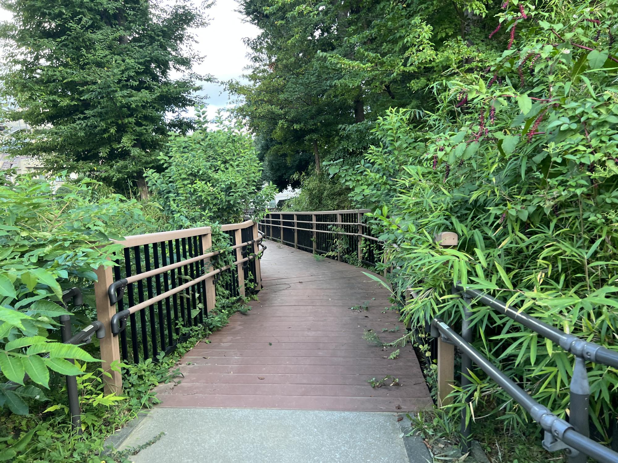 板橋区立西徳第二公園