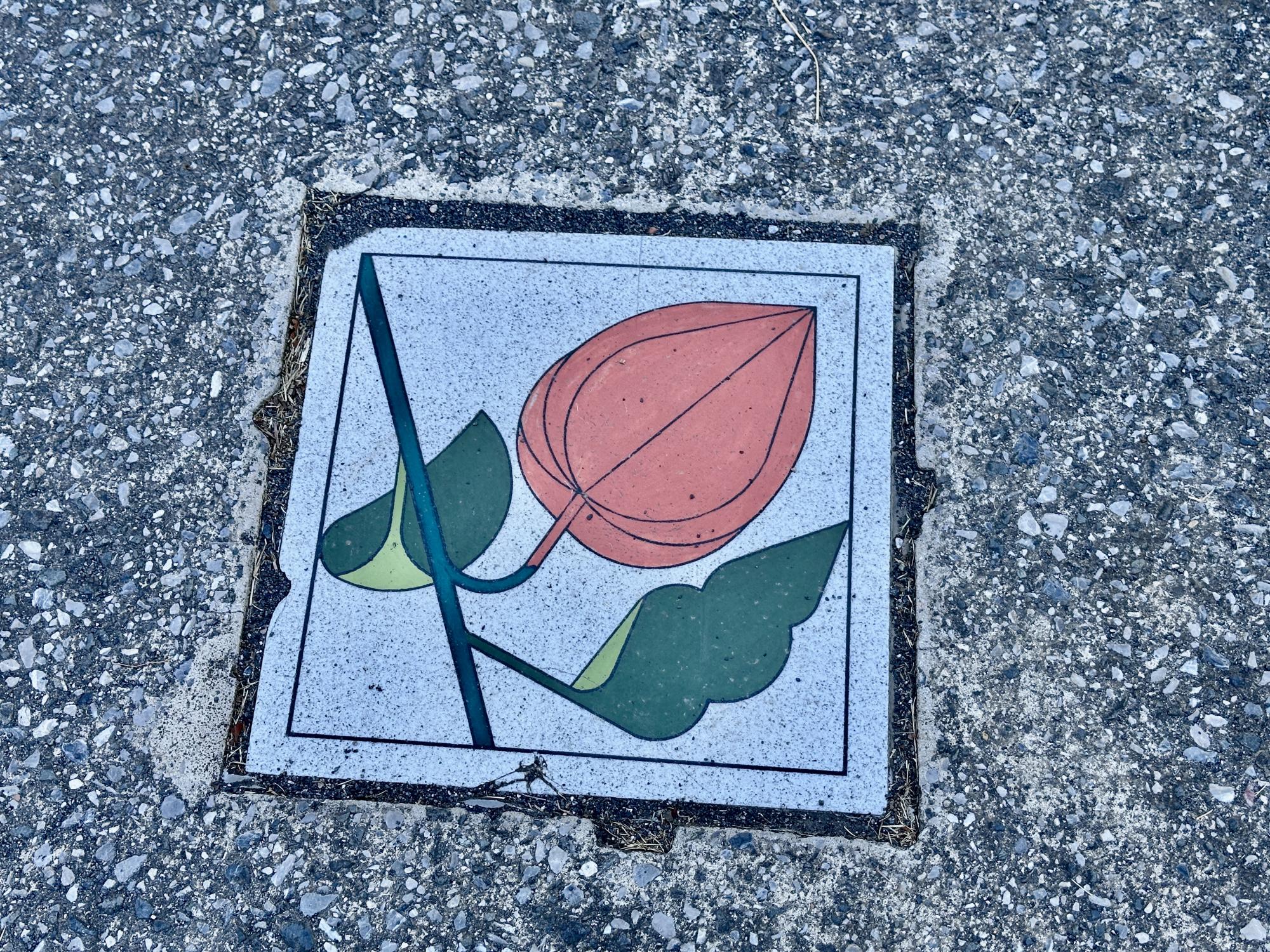 桜並木ほおずき公園