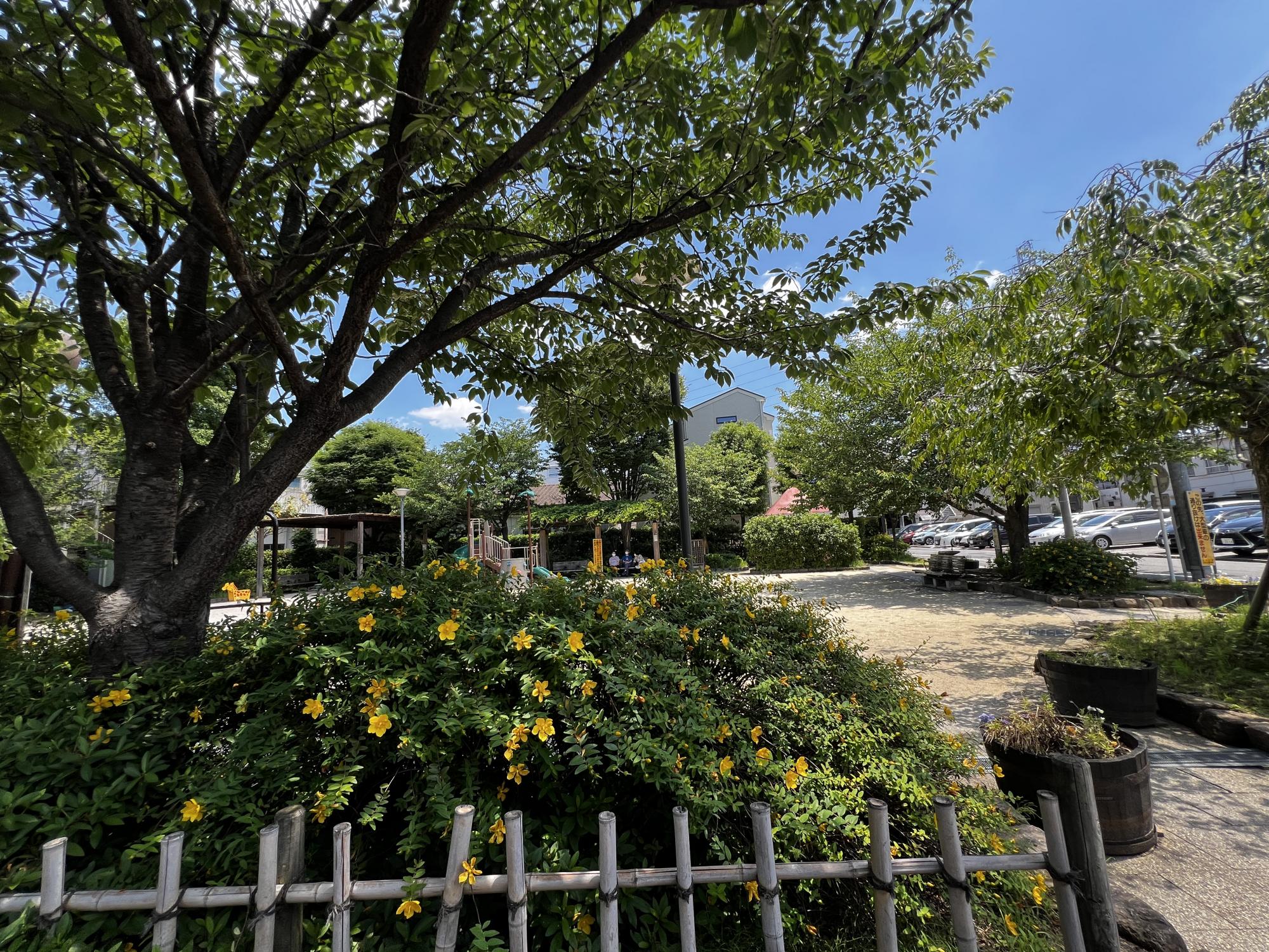 五北さくら公園