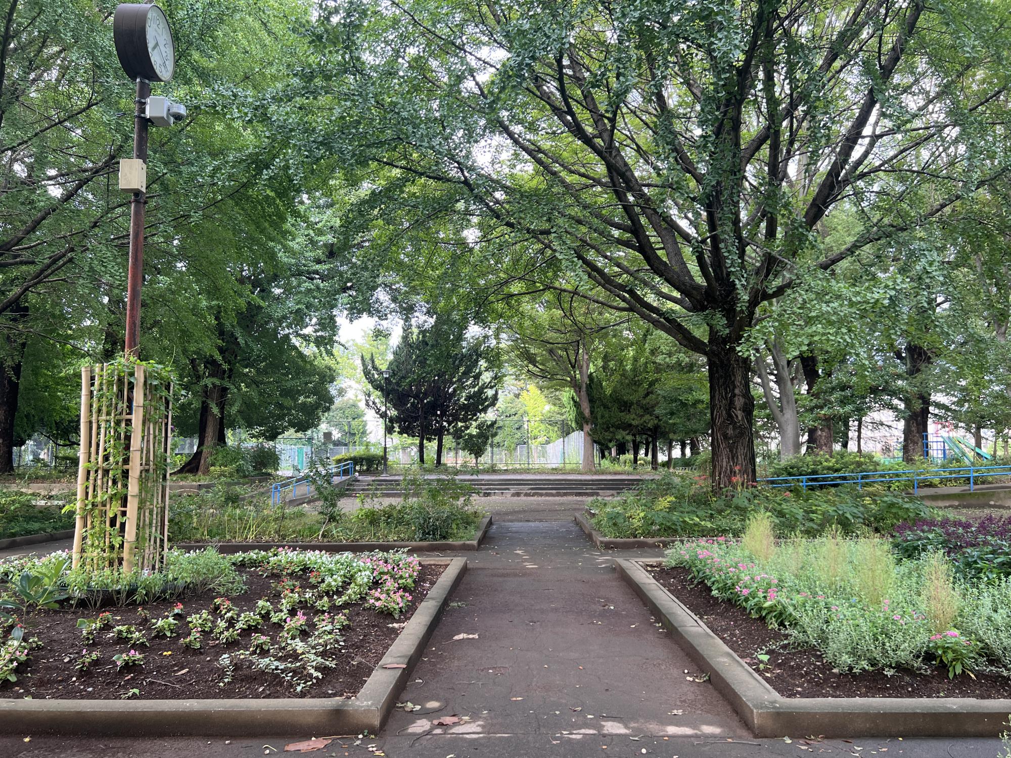 北区立桐ヶ丘中央公園
