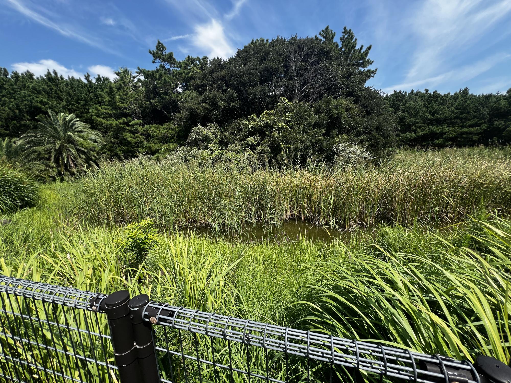 浦安市総合公園