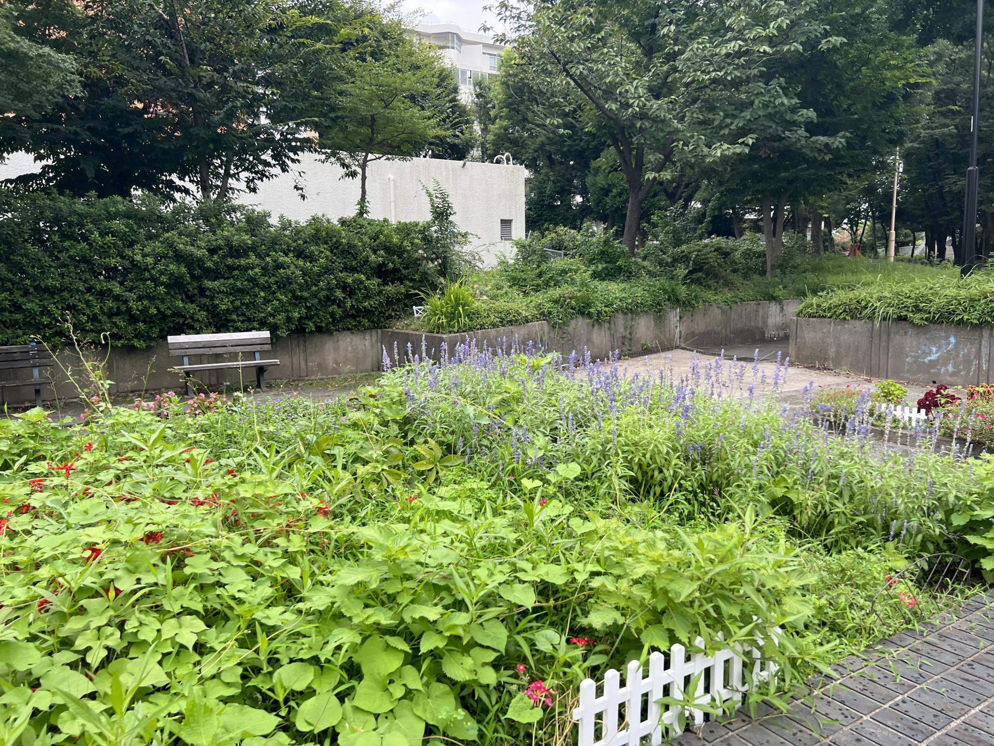 板橋区立西前野公園