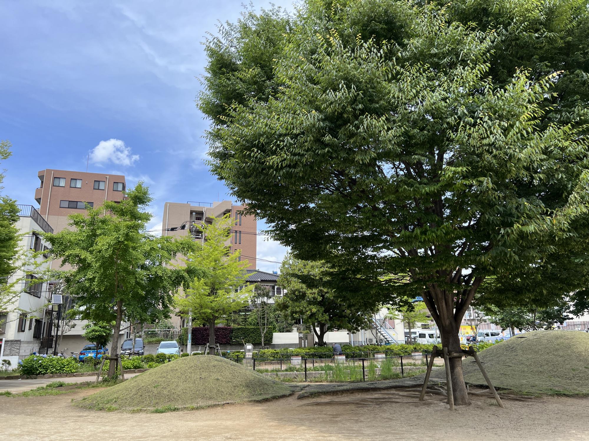 仲町（なかちょう）公園