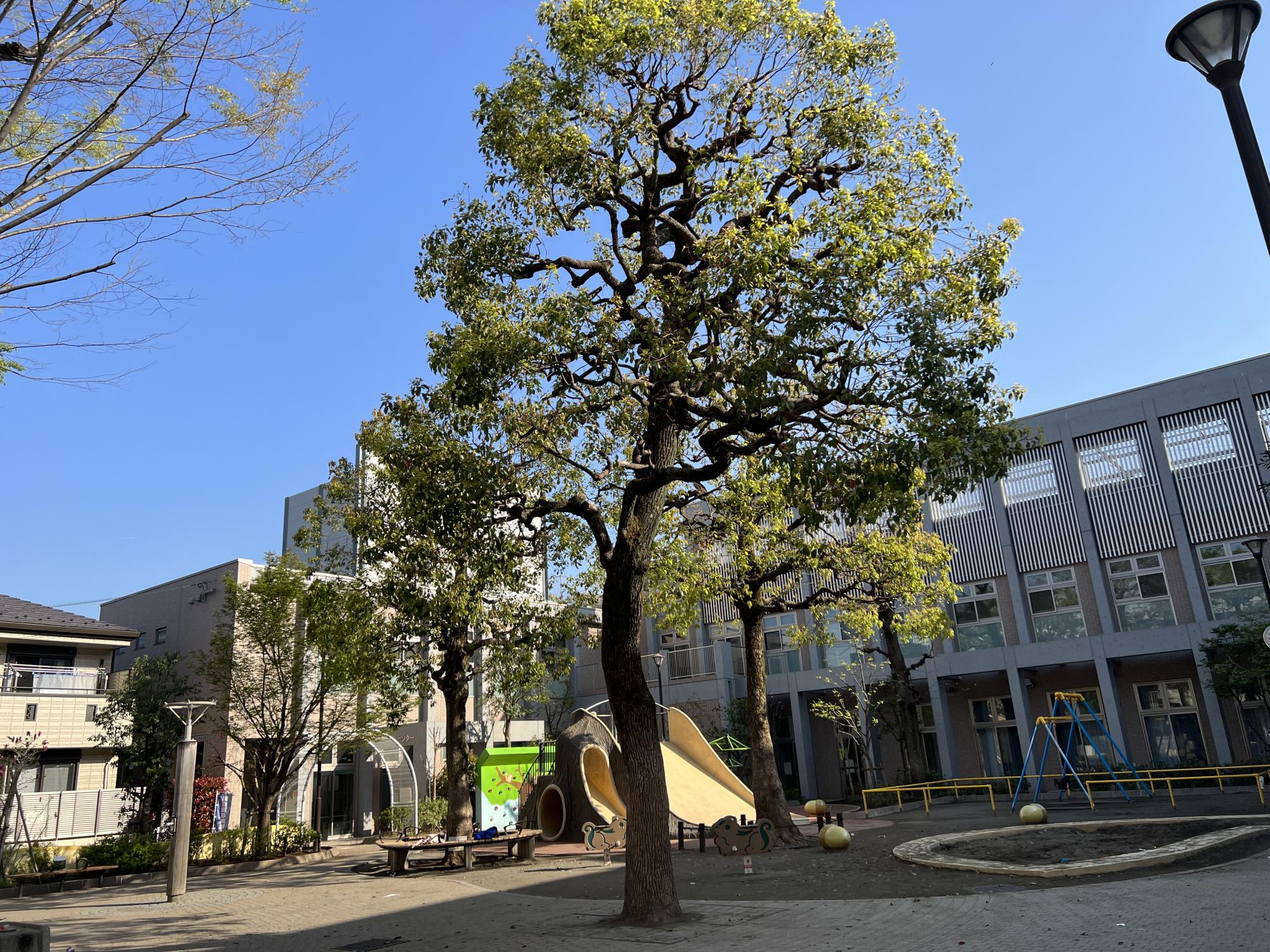文京区立千石公園