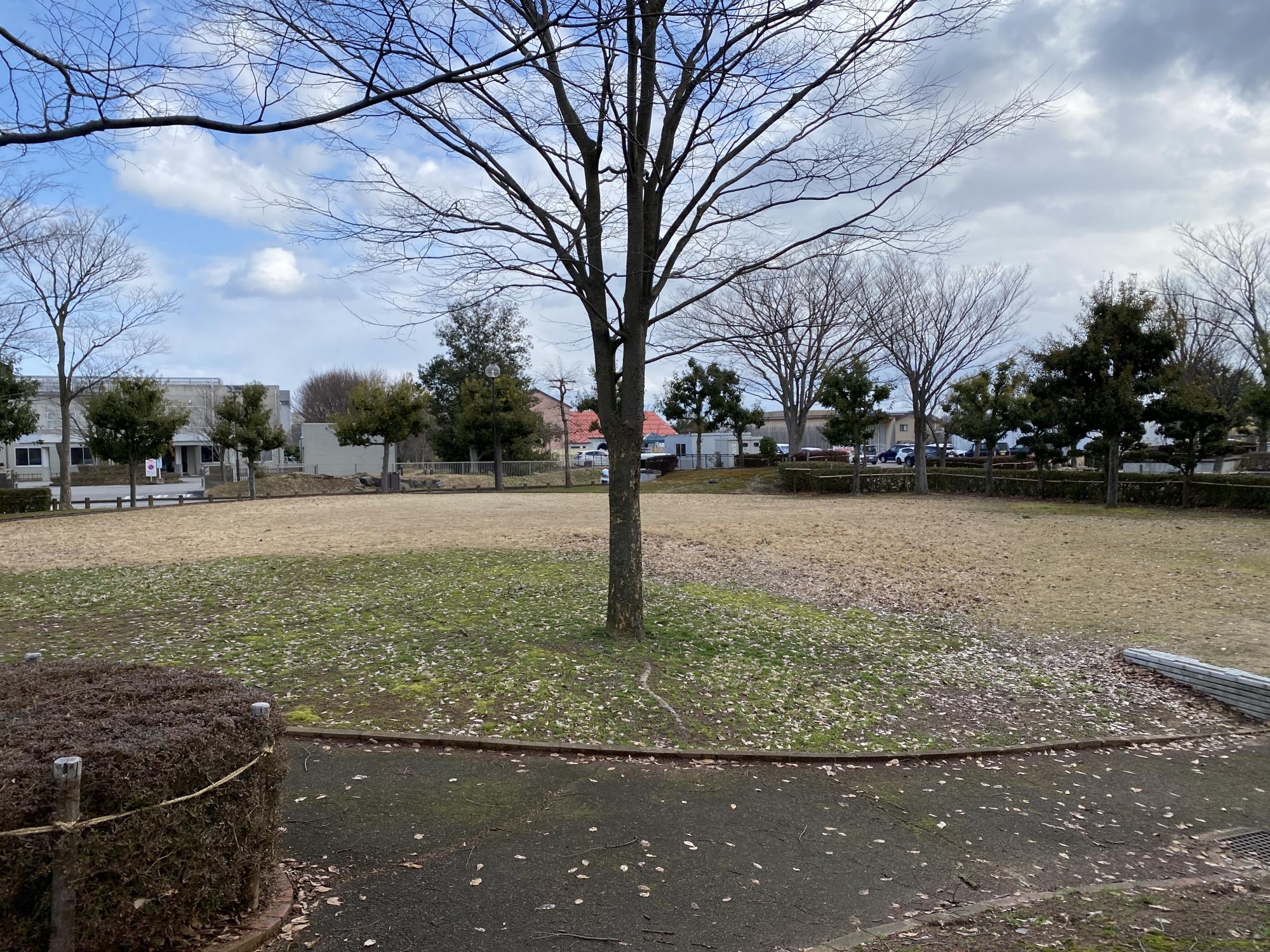 鵜坂公園