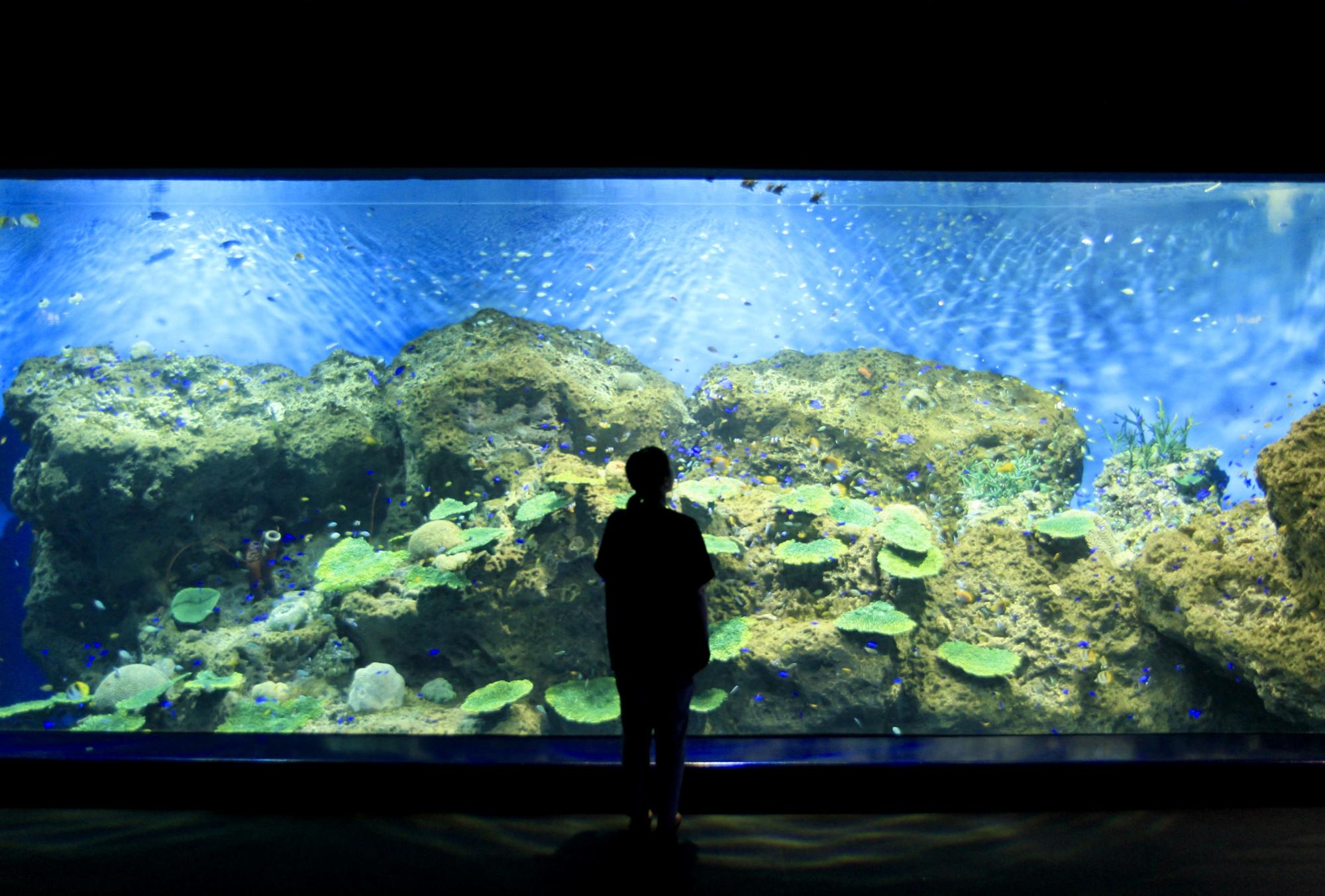 アクアワールド茨城県大洗水族館