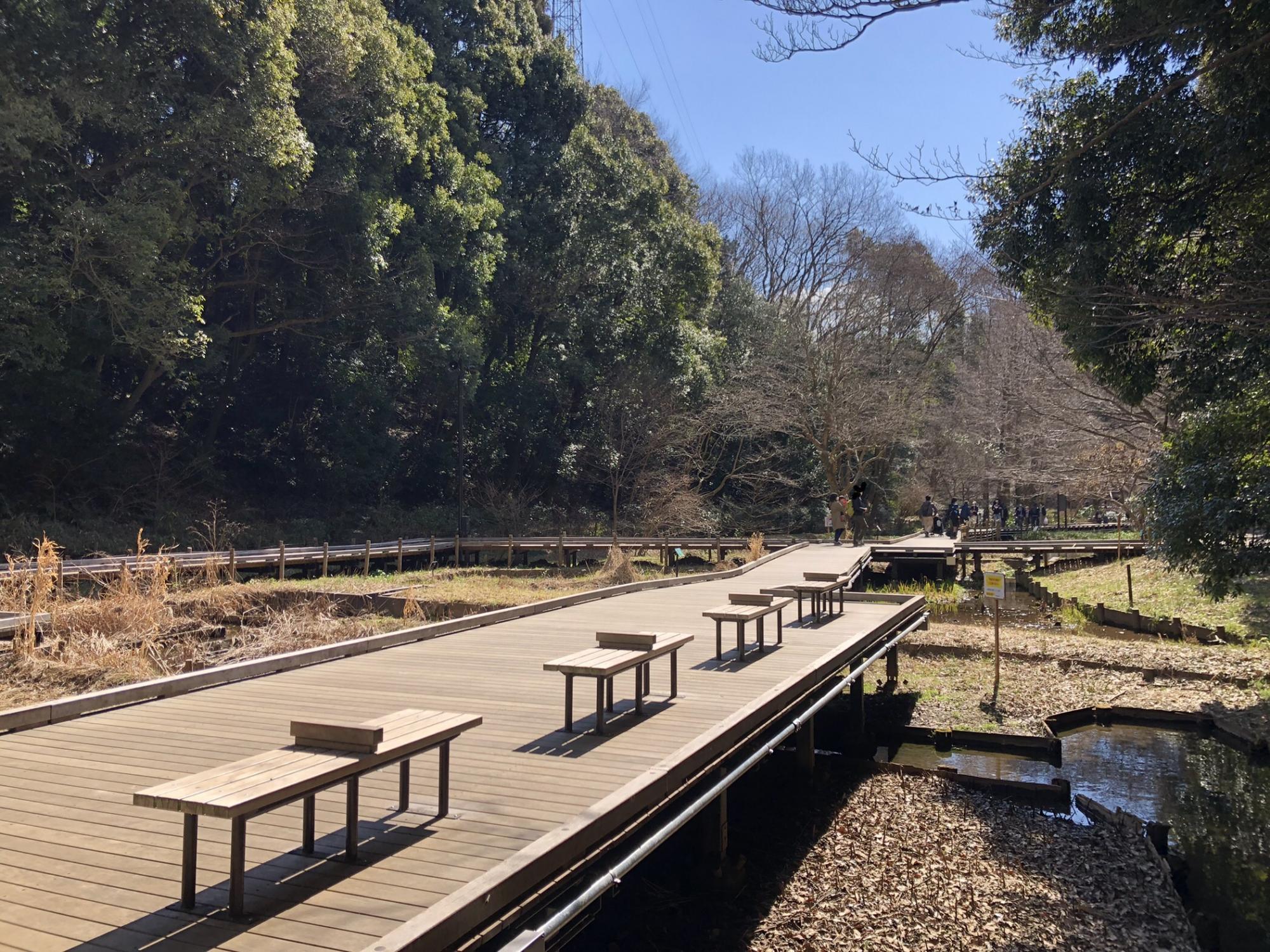 県立東高根森林公園
