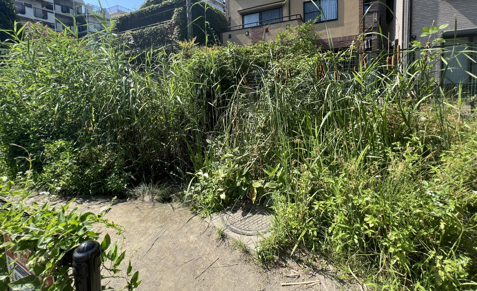 東陽一丁目第一公園