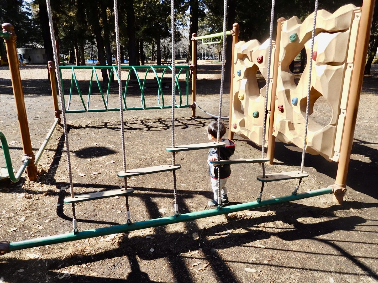相模原市淵野辺公園