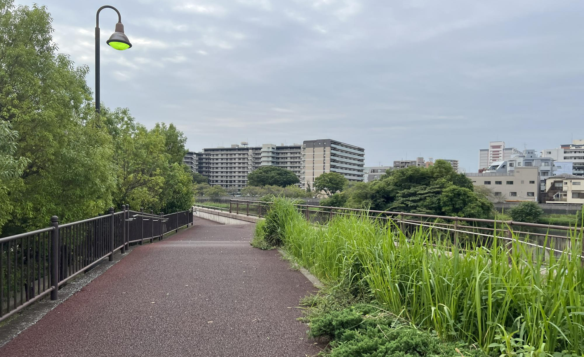 板橋区立舟渡水辺公園