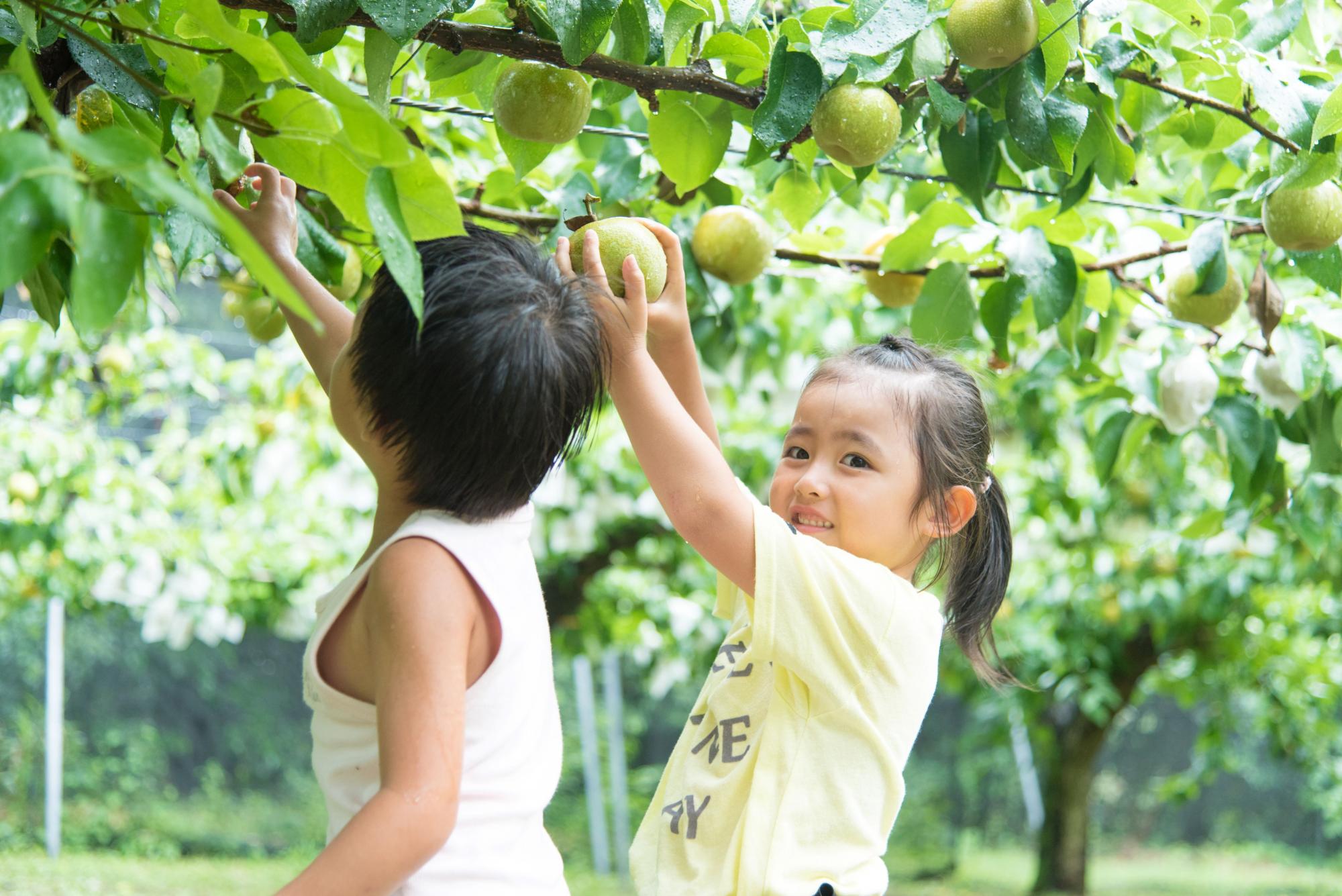 はままつフルーツパーク時之栖
