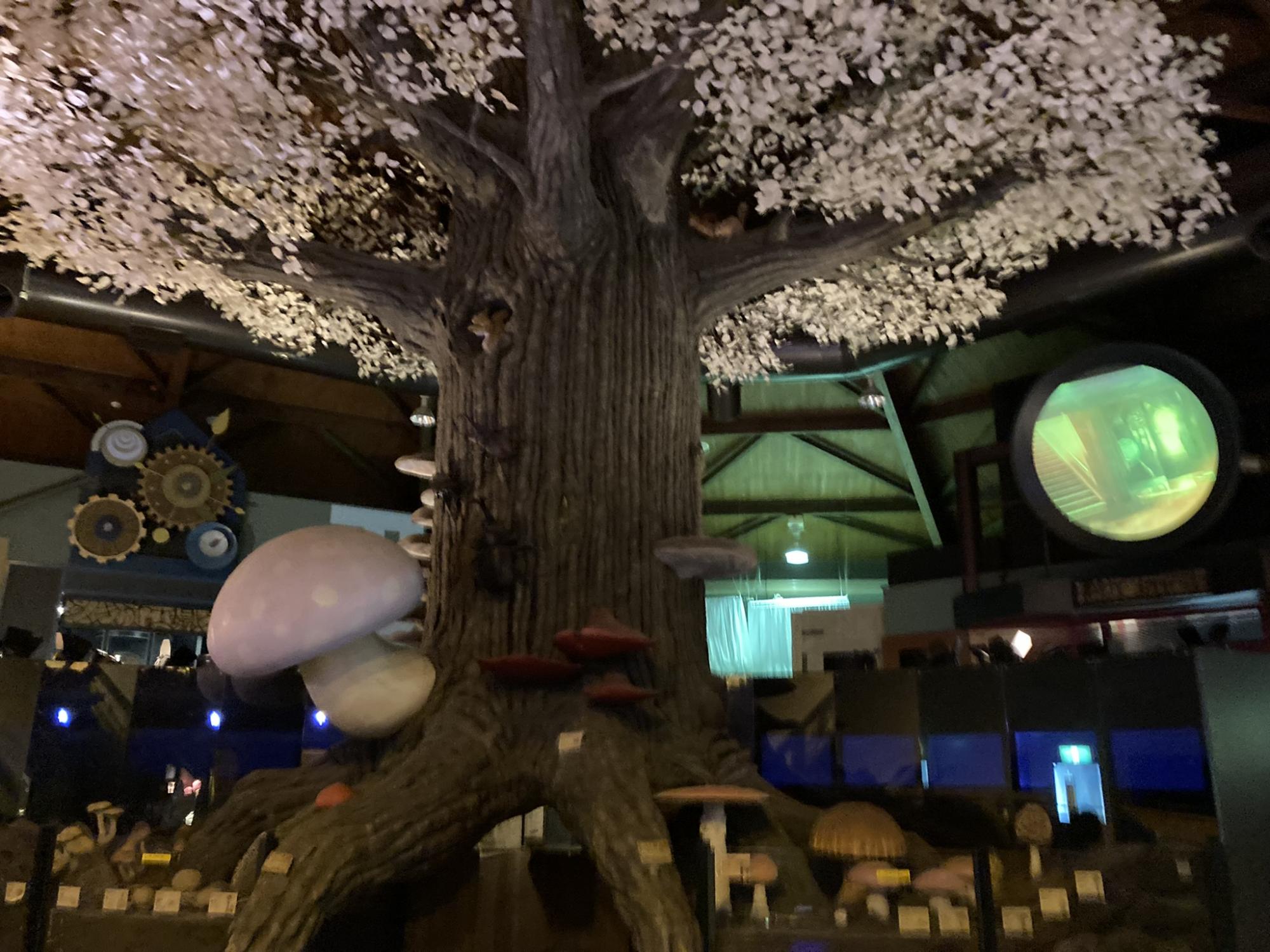 茨城県きのこ博士館