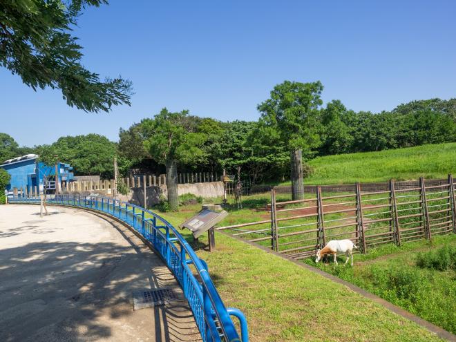 千葉市動物公園