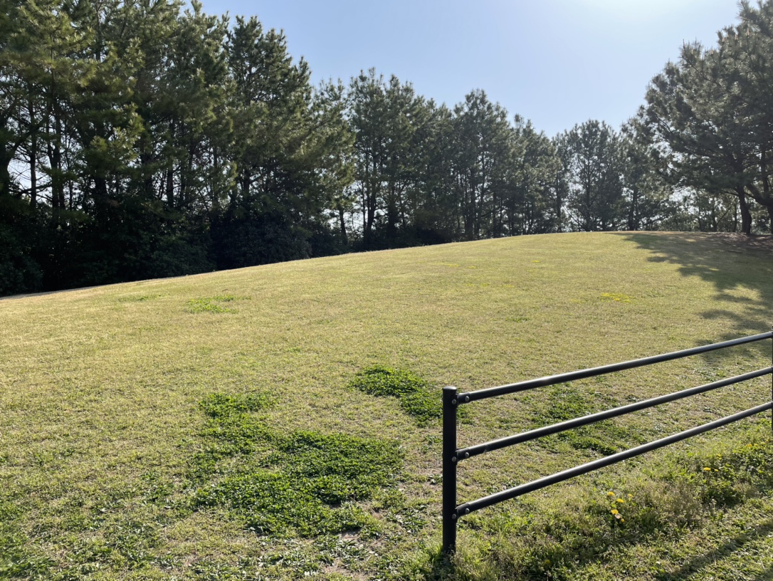 きらら博記念公園