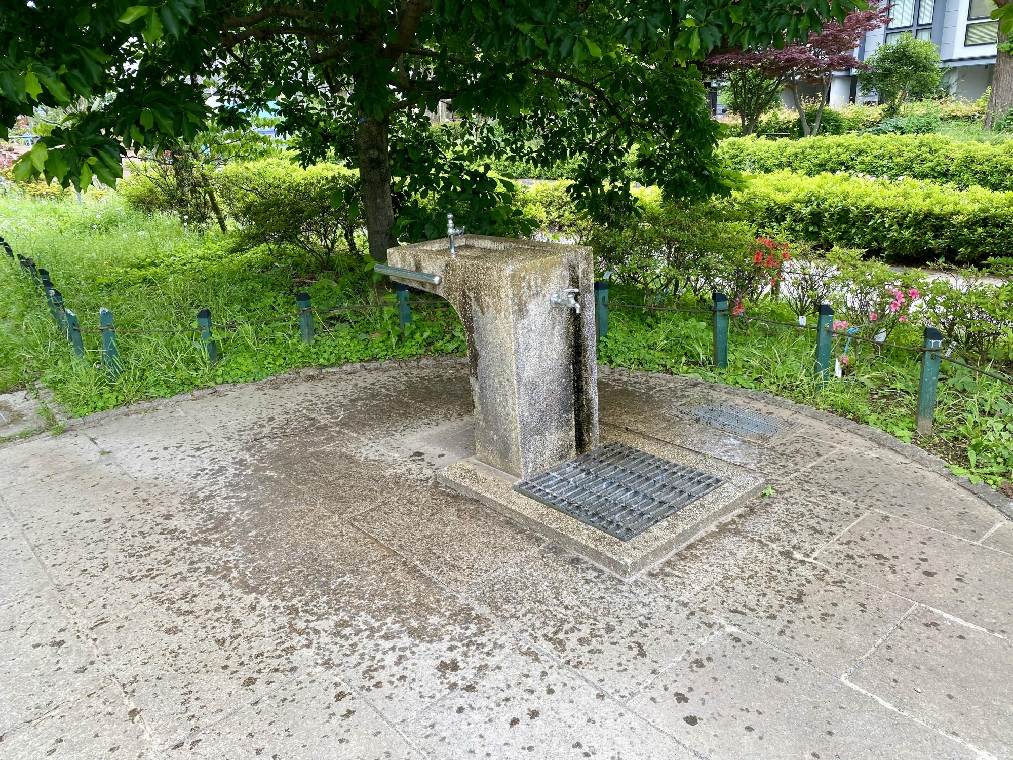 平成つつじ公園