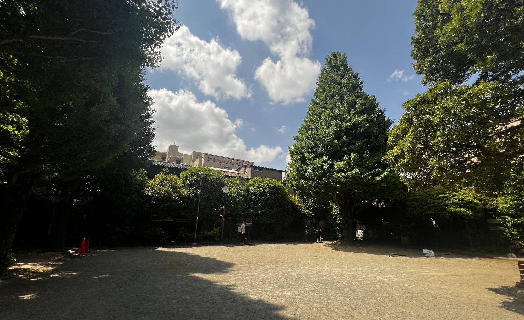 中野区立早稲田通り公園