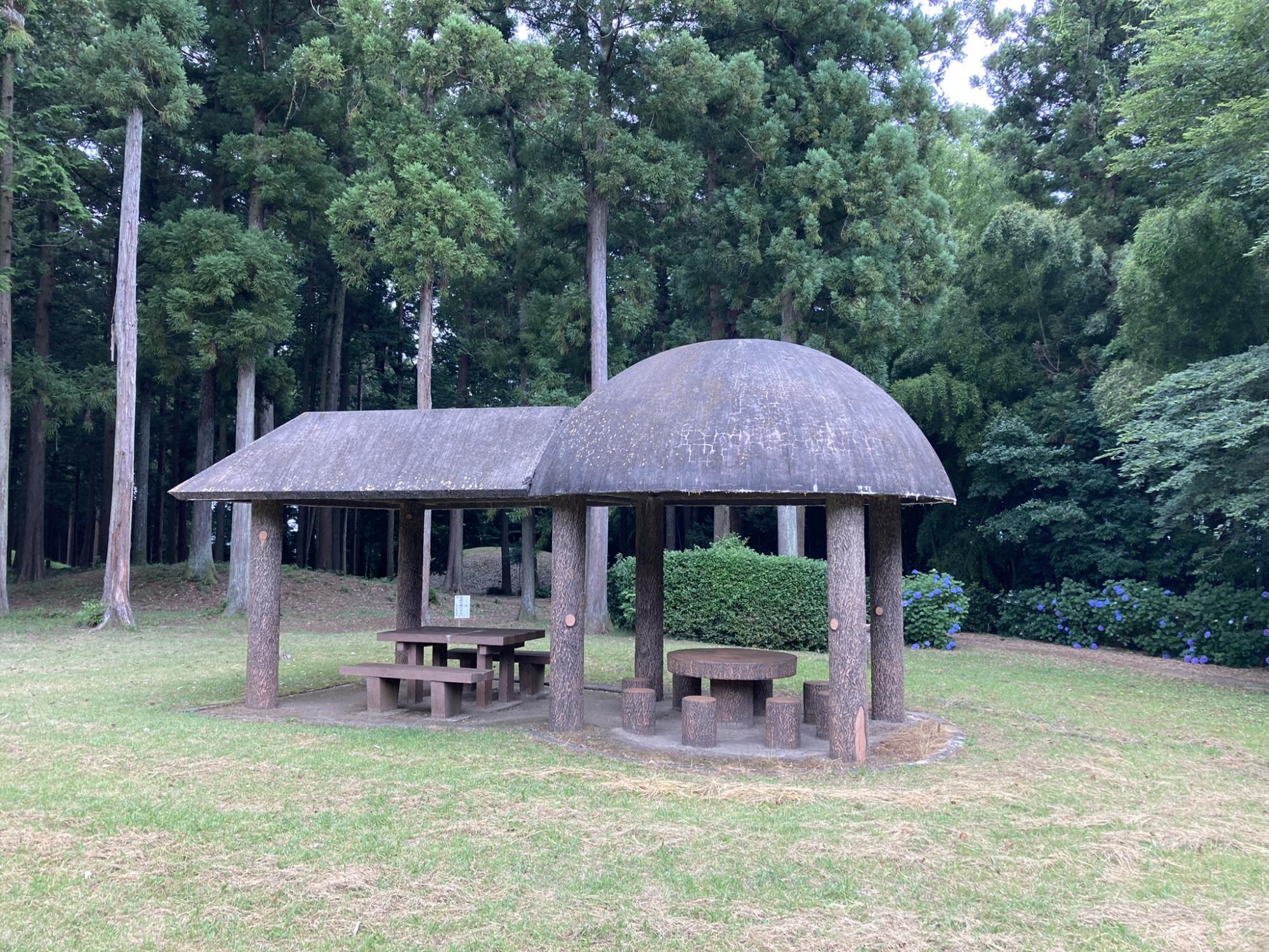 くれふしの里 古墳公園