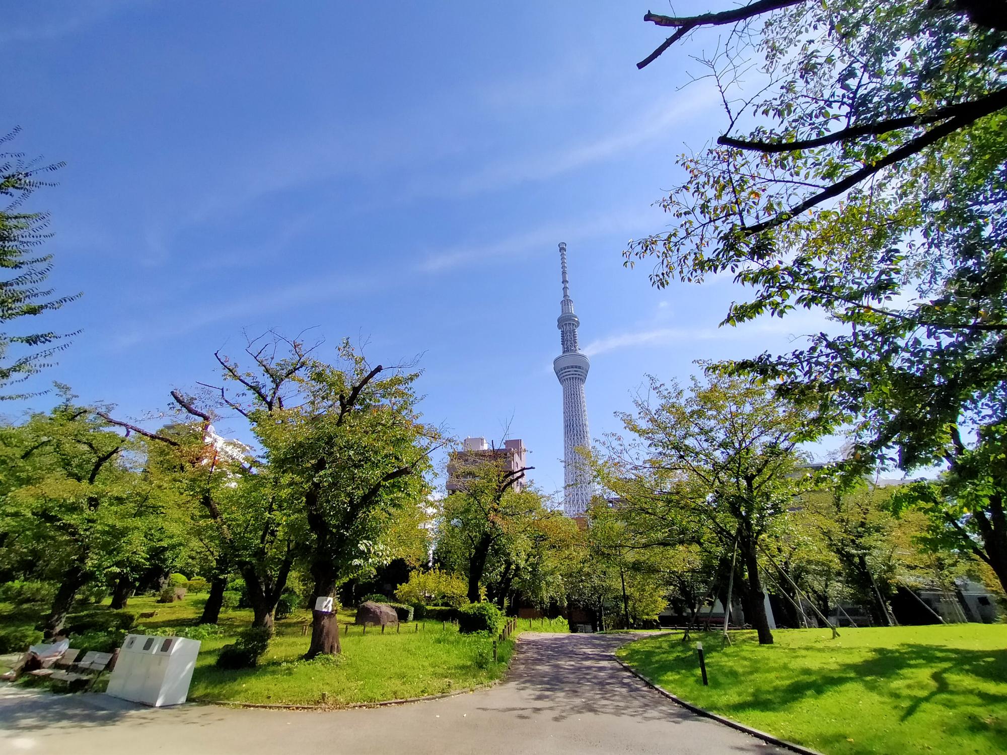 墨田区立隅田公園