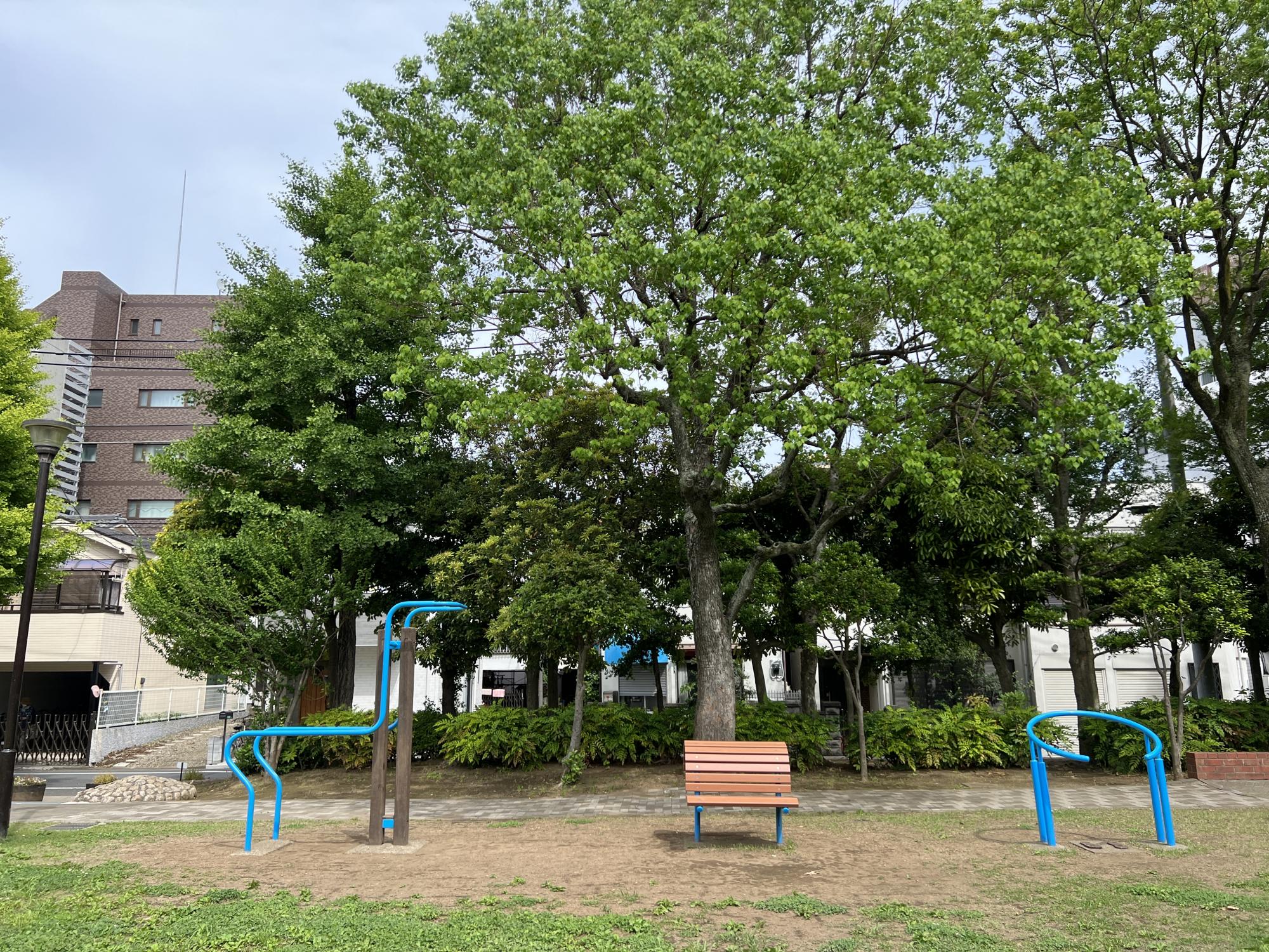 馬頭（ばとう）公園