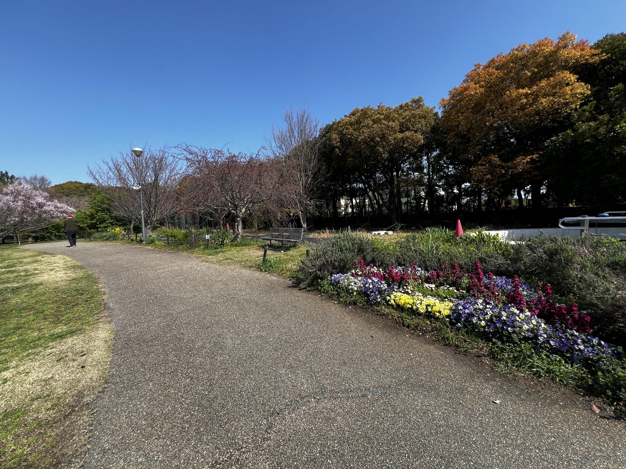 弁天ふれあいの森公園