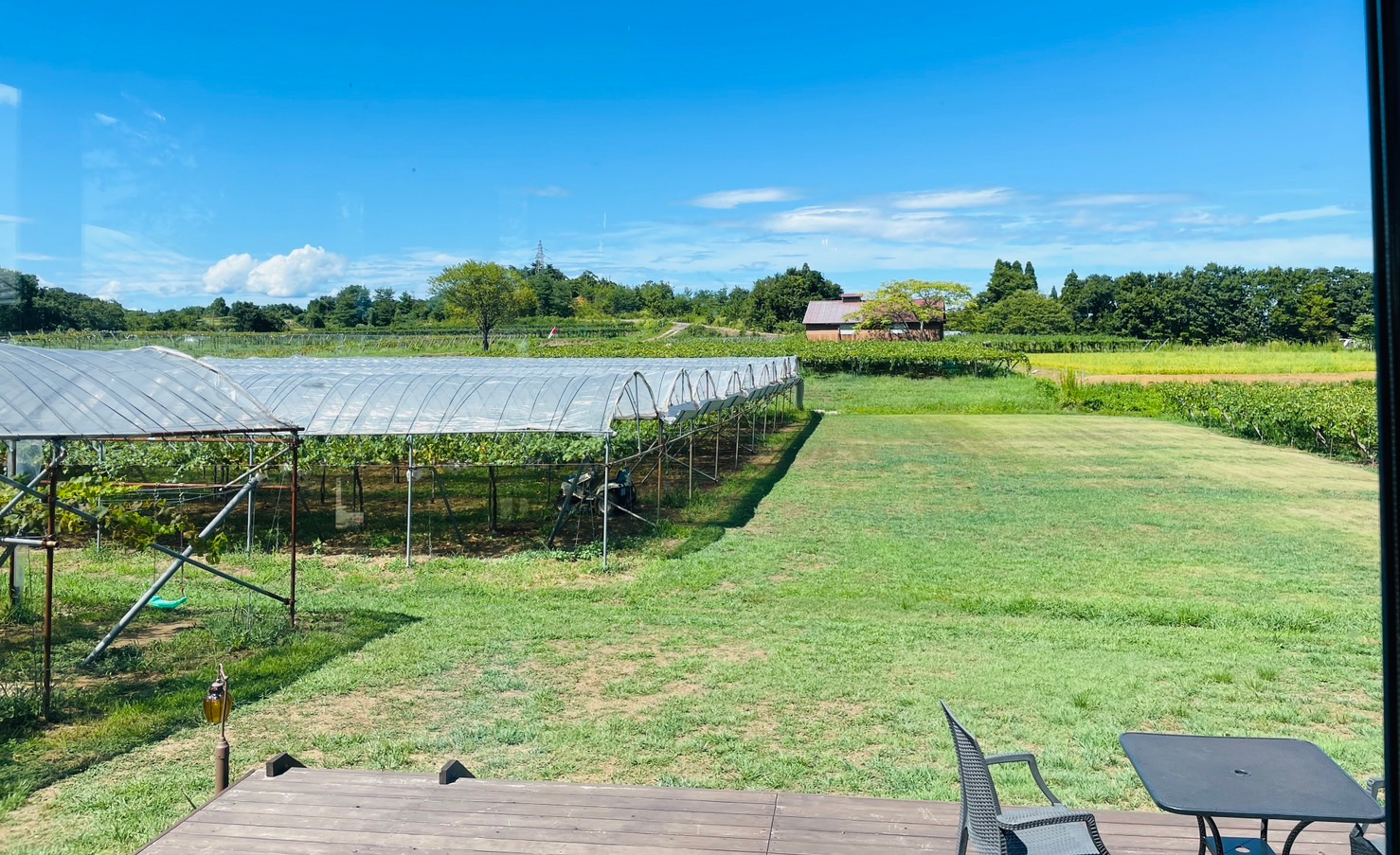 やまふじぶどう園