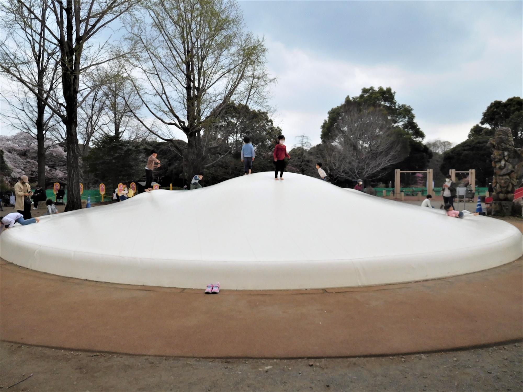 国営昭和記念公園