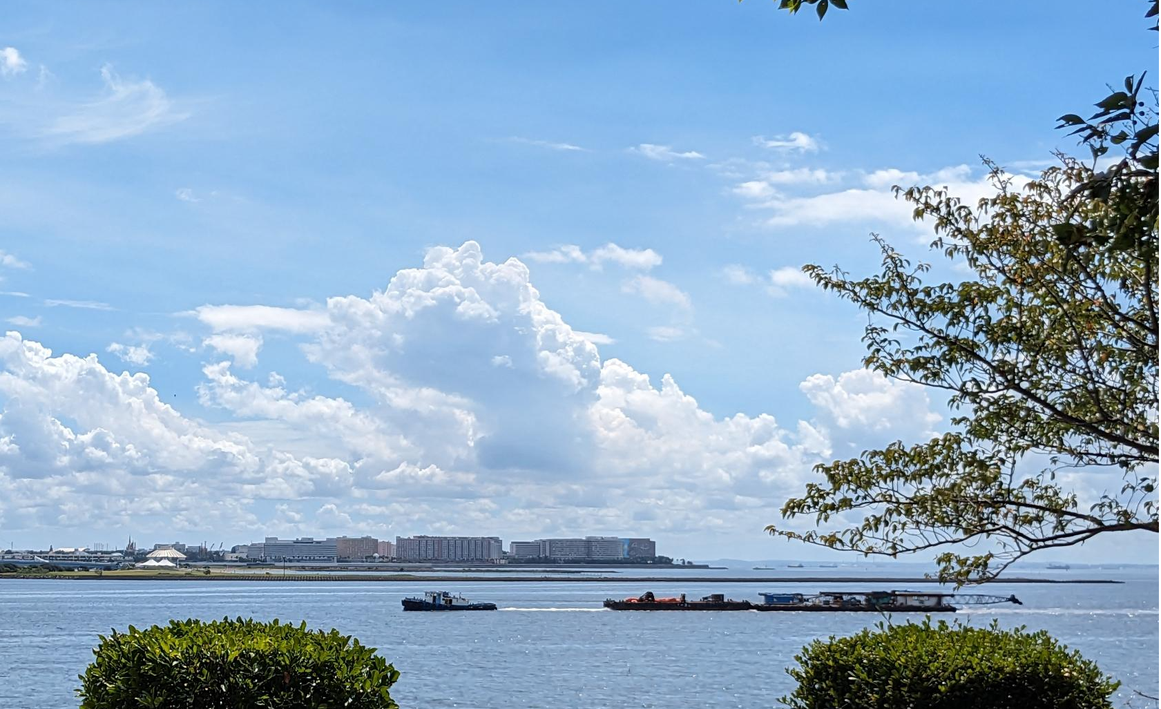 新木場緑道公園