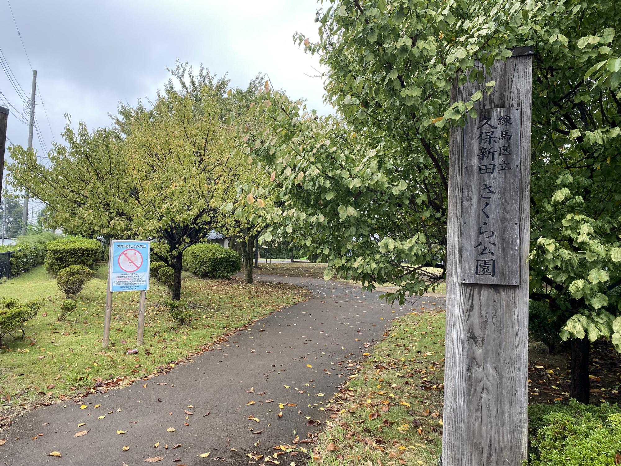 久保新田さくら公園