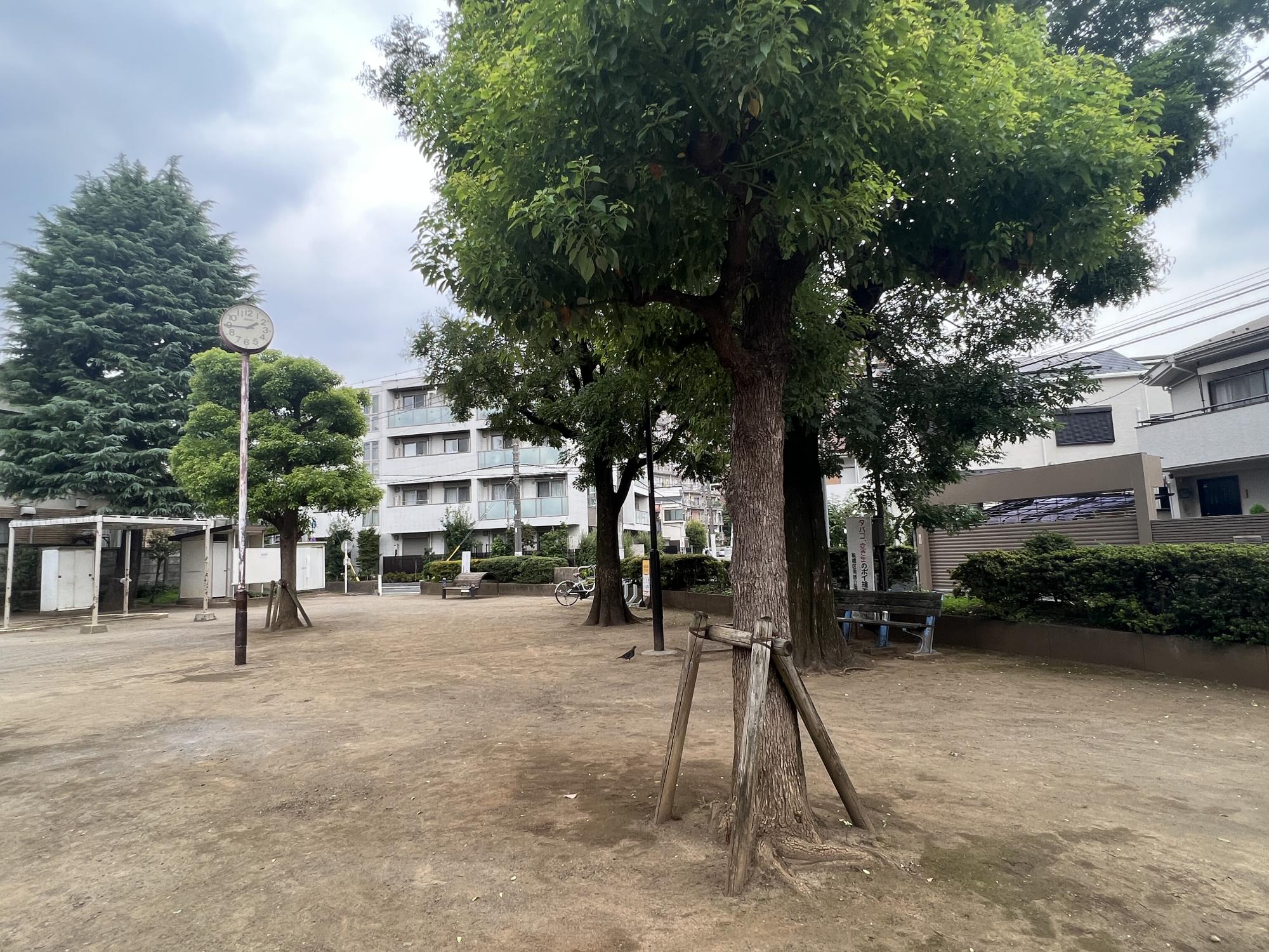 板橋区立常盤台北口公園