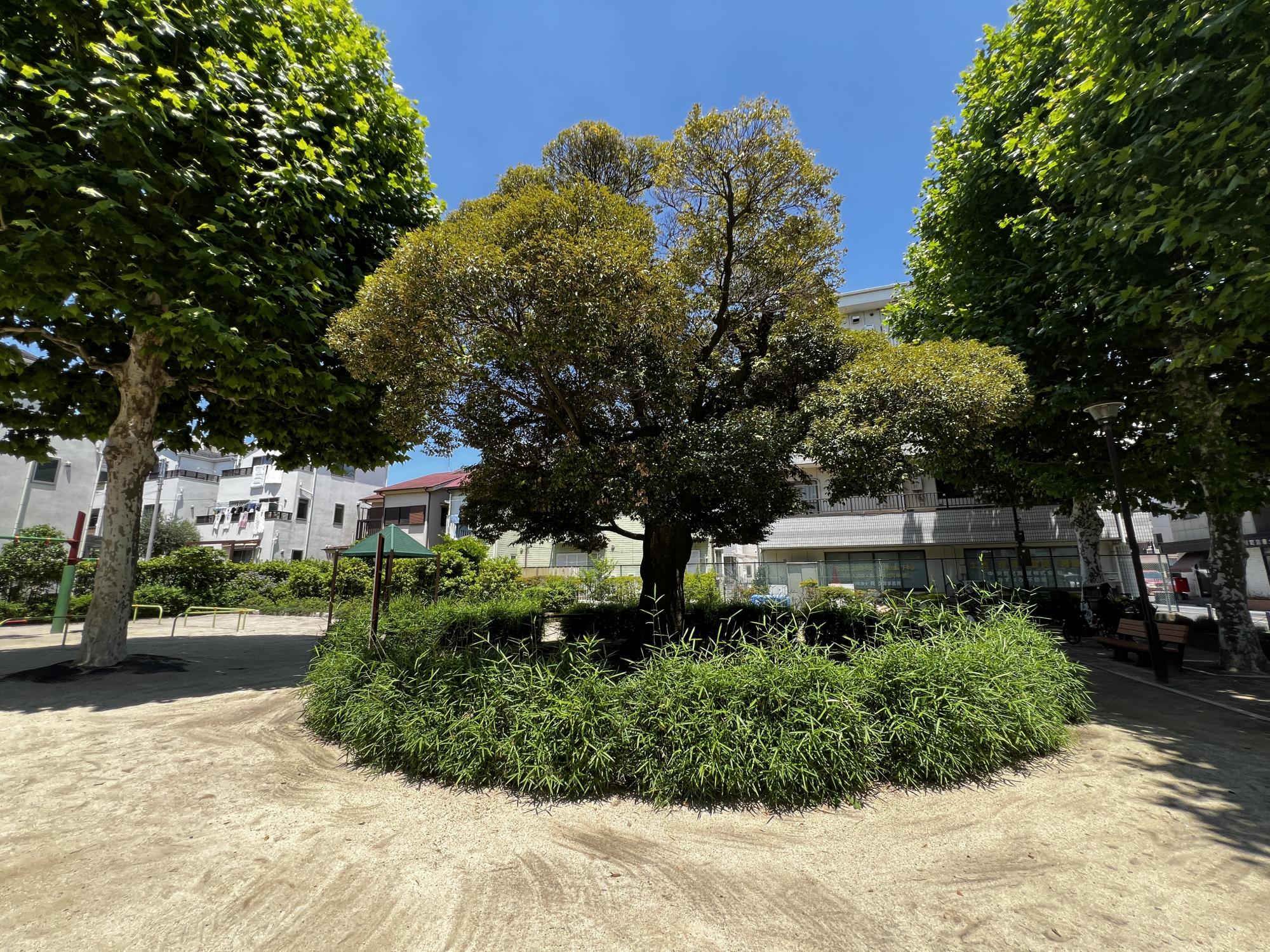 中央一丁目公園