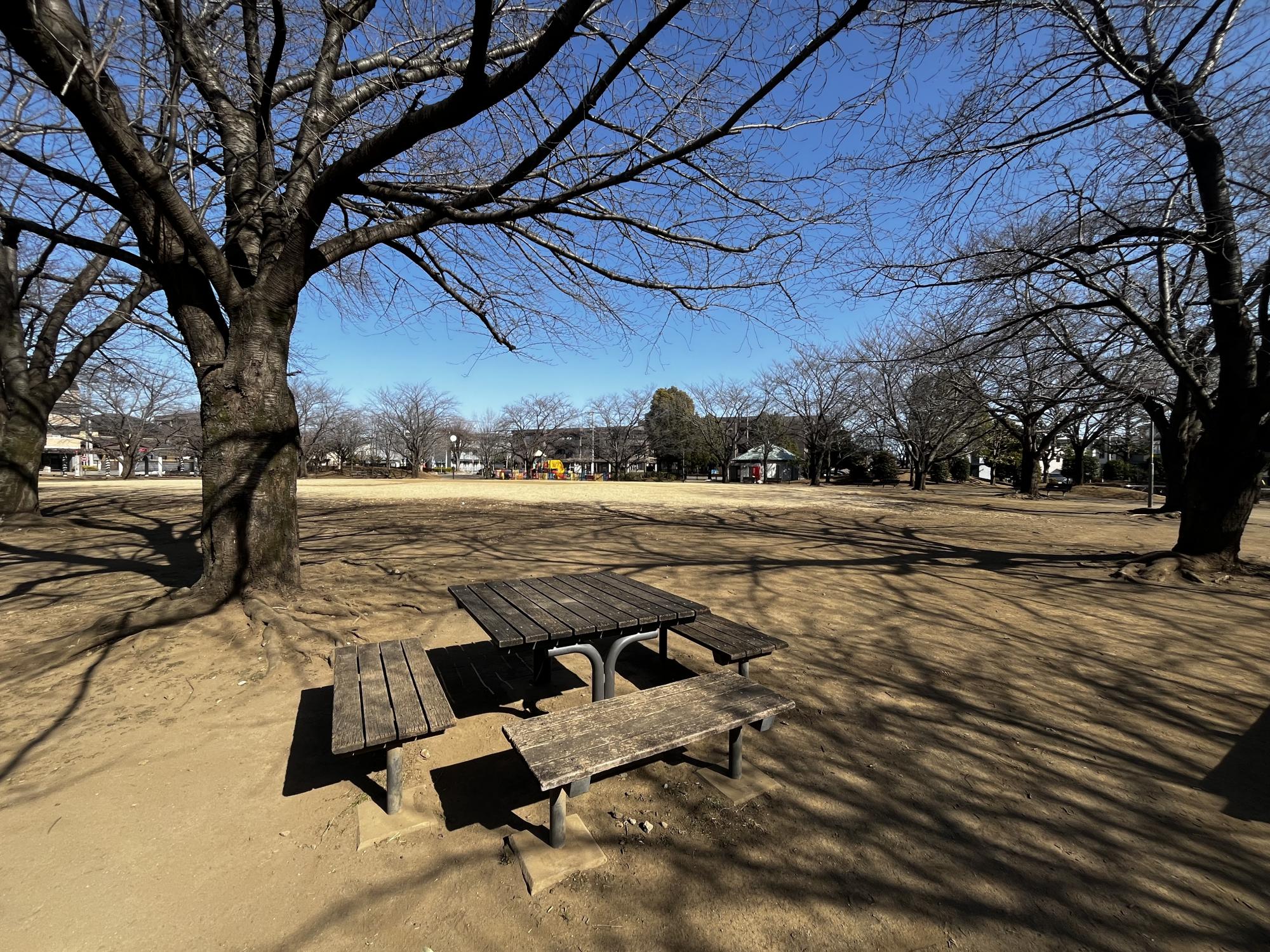 勝瀬原記念公園