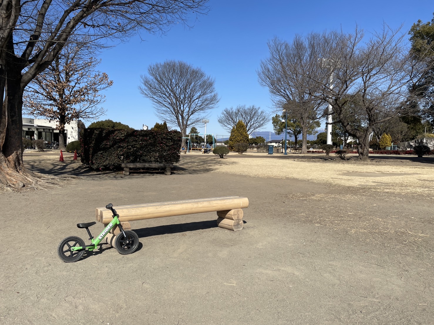 いせさき市民のもり公園