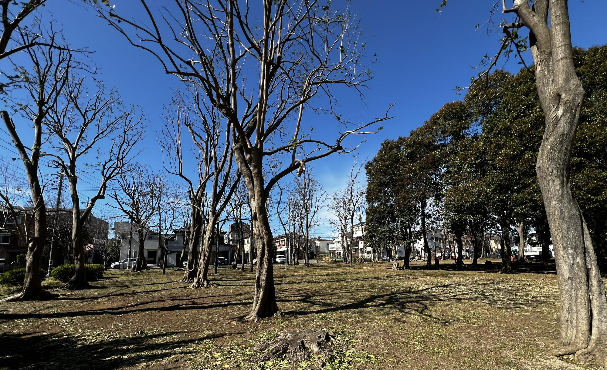 篠崎六丁目第二広場