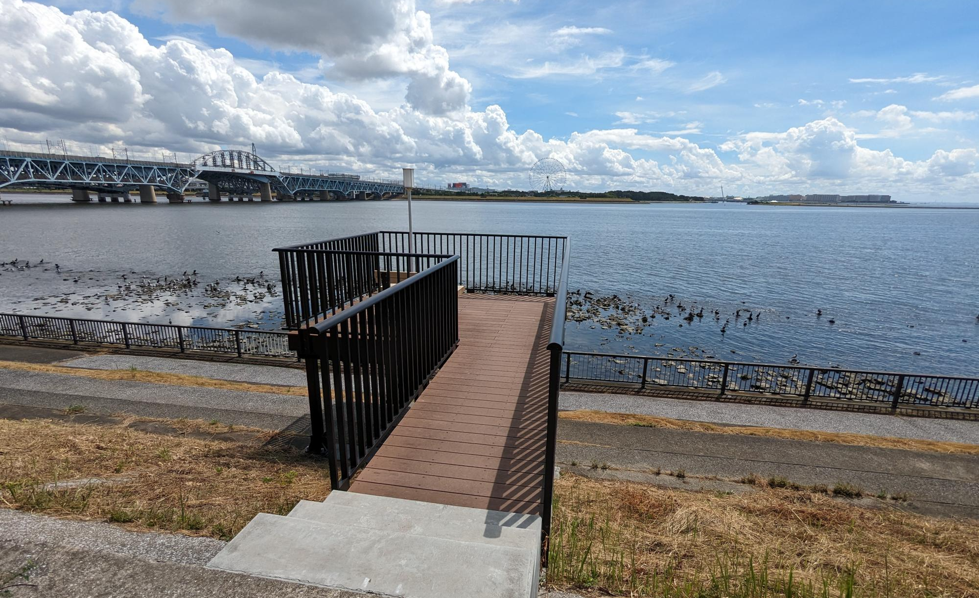 新木場緑道公園