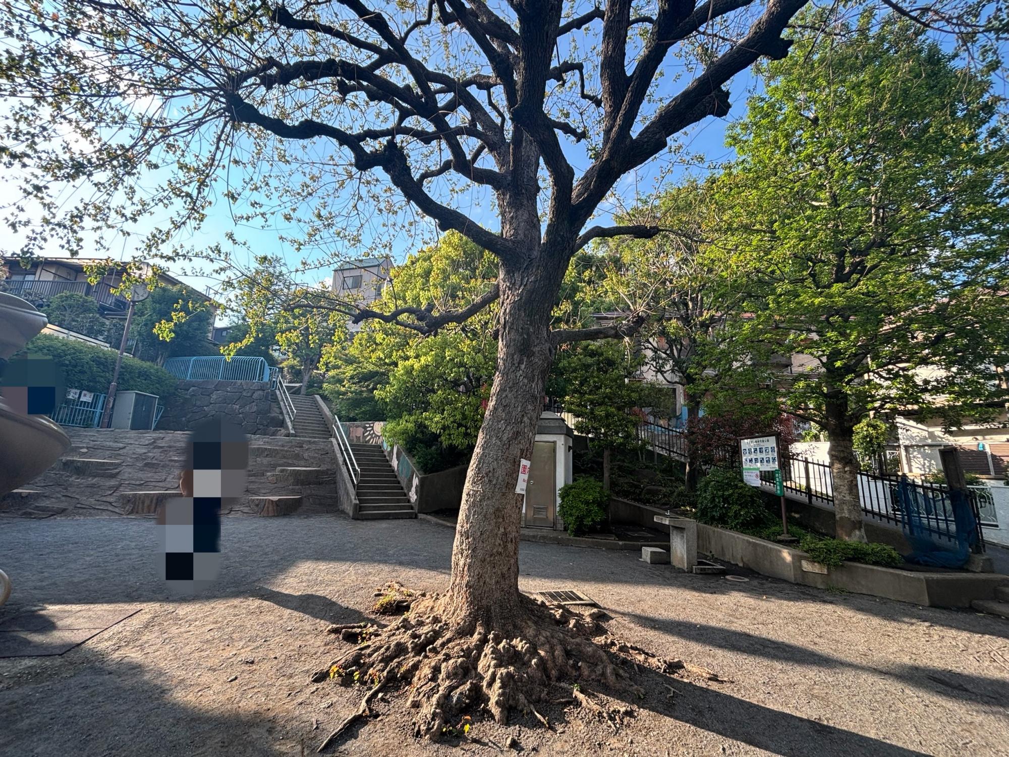 サンサン根岸児童公園
