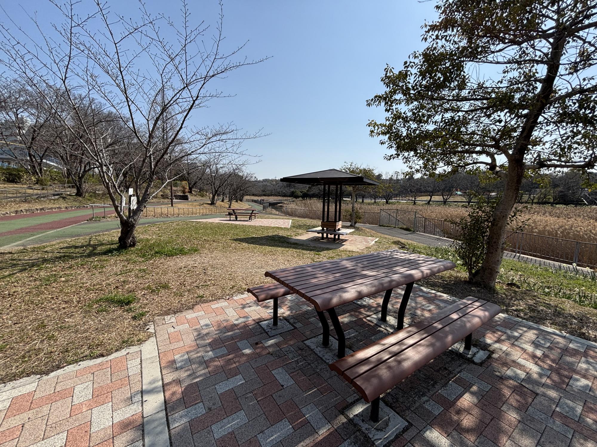 細口池公園