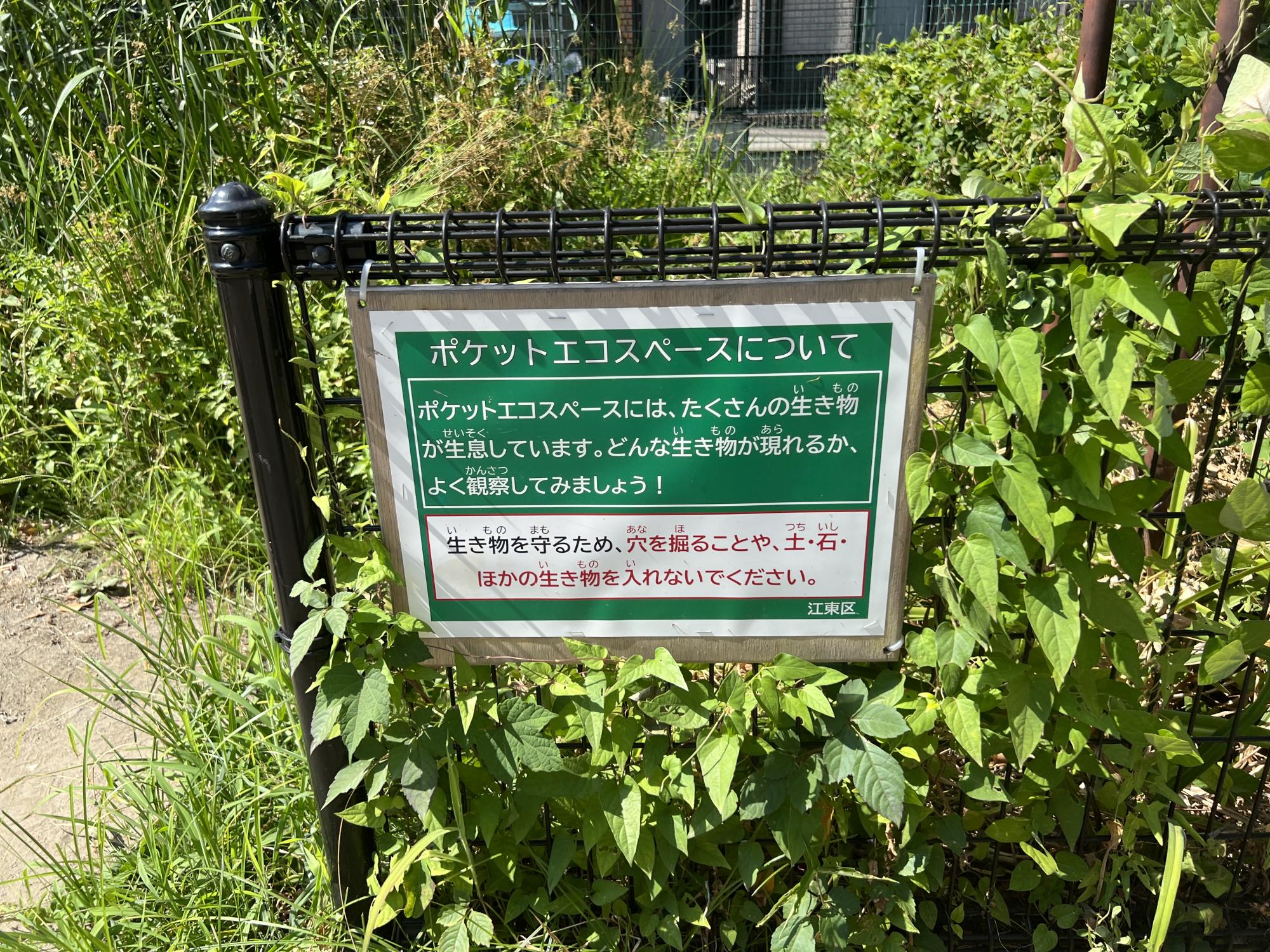 東陽一丁目第一公園