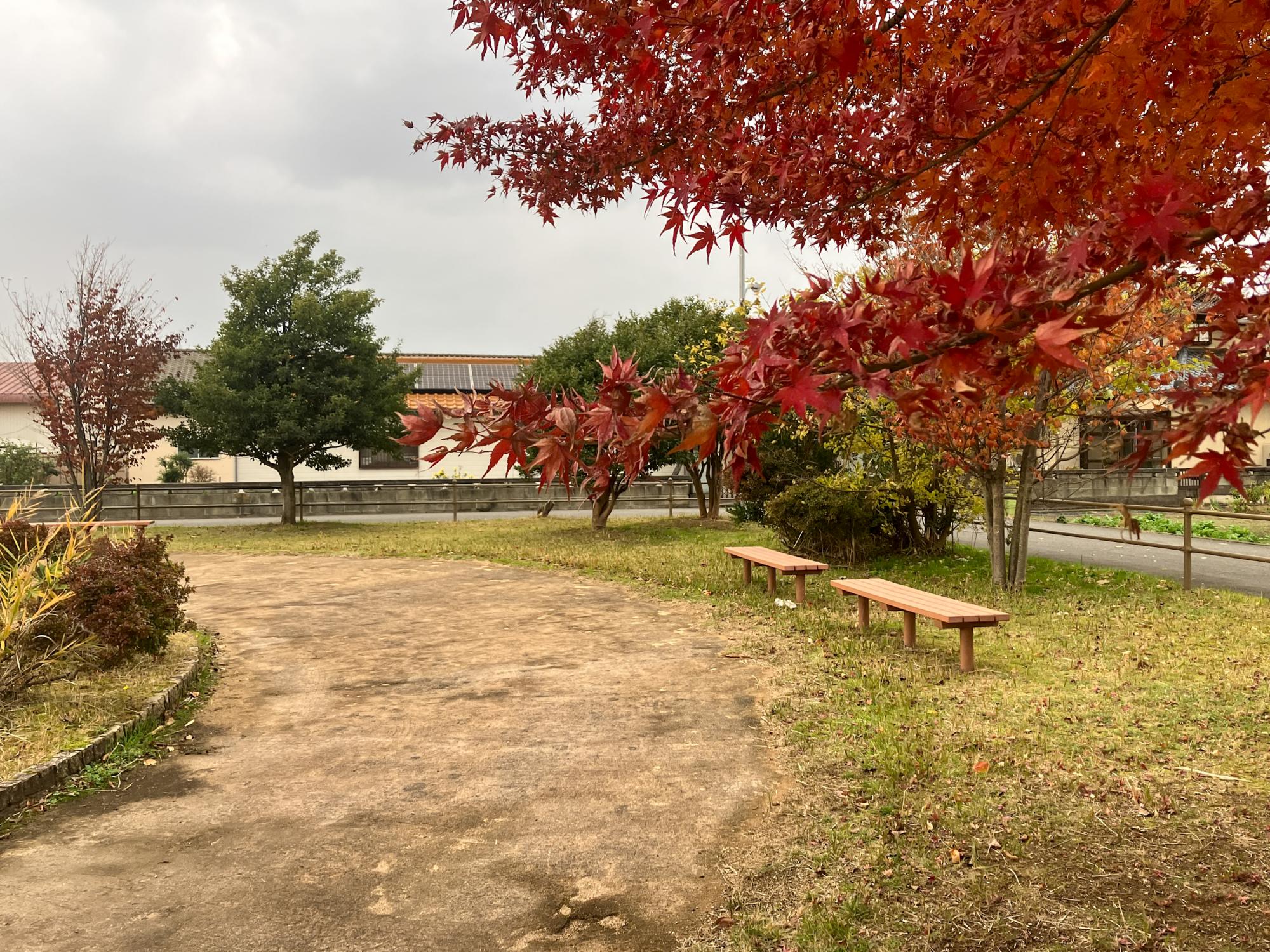 西瓜屋公園
