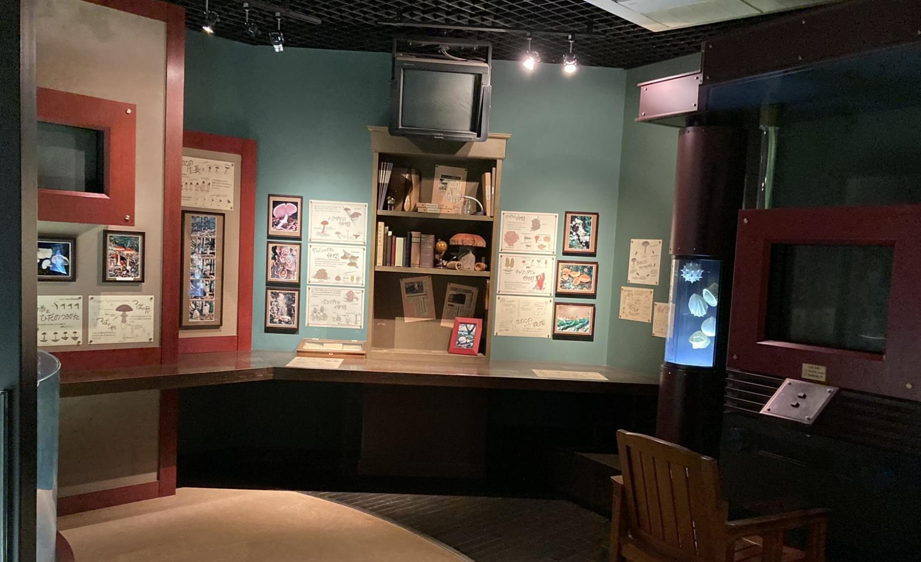 茨城県きのこ博士館