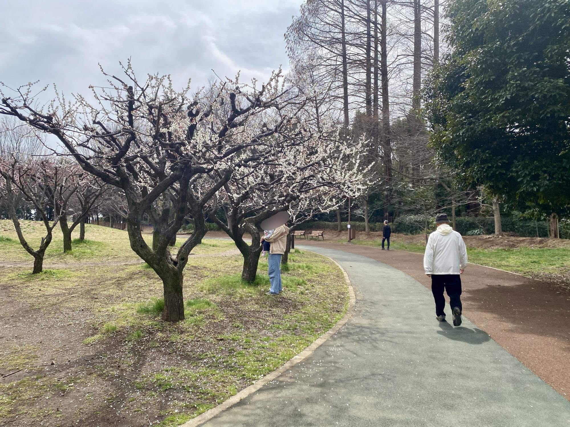 西東京いこいの森公園
