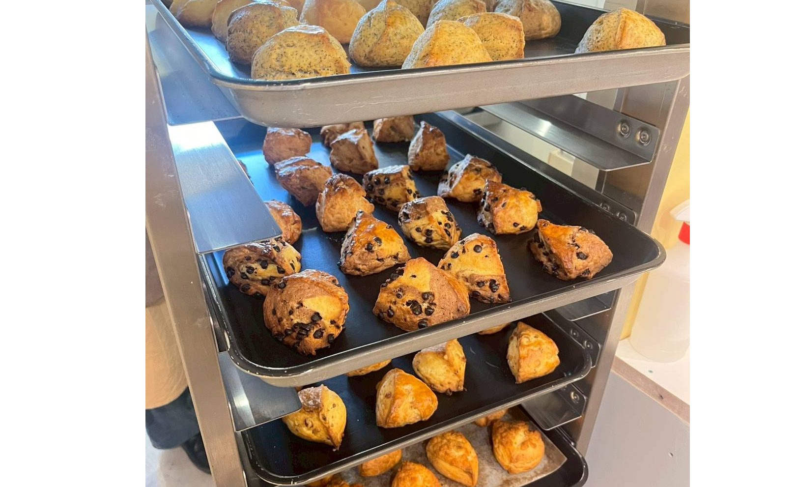 Q and scone コモンズ立川立飛店