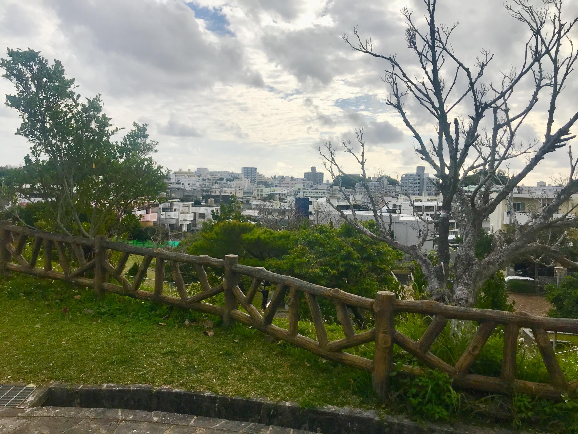五月公園