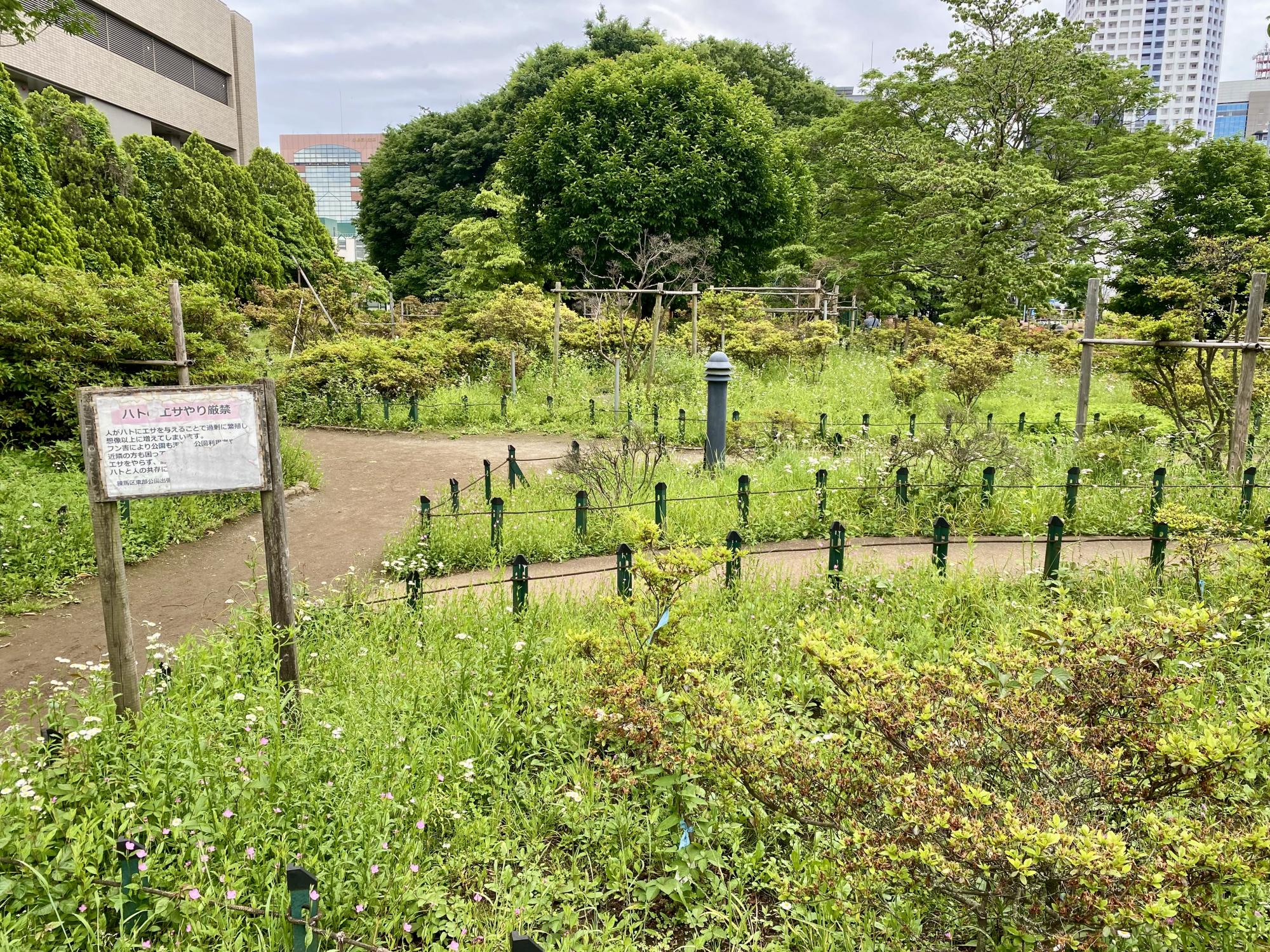 平成つつじ公園