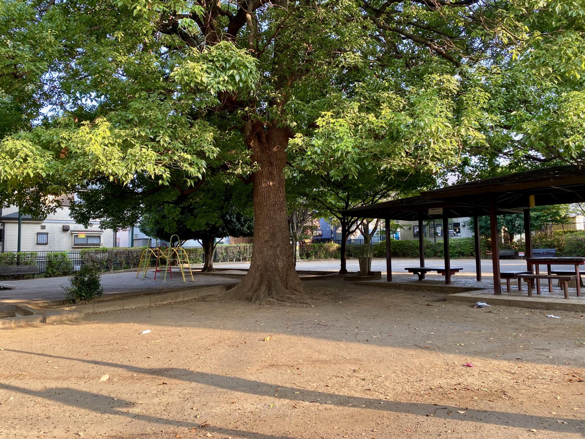 大沼地域センター公園